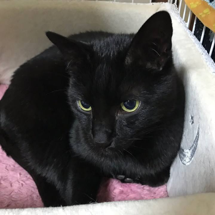 30d61c5b 5106 46a9 8c66 c3b46a6f641d 1519347301729