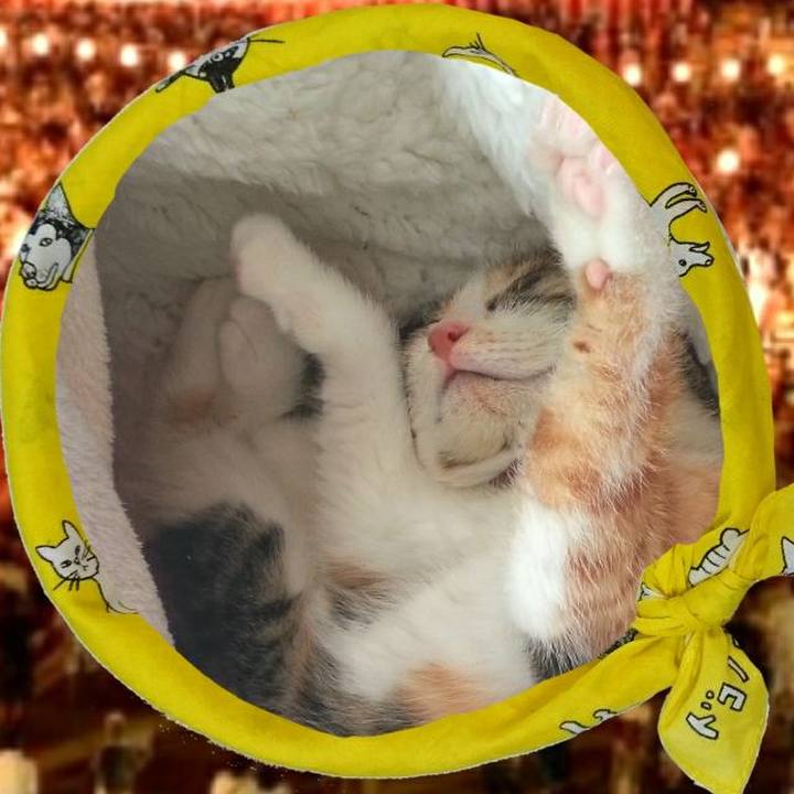 30d67f4e 1970 4fa0 b53e fb11281a5699 1558778337001