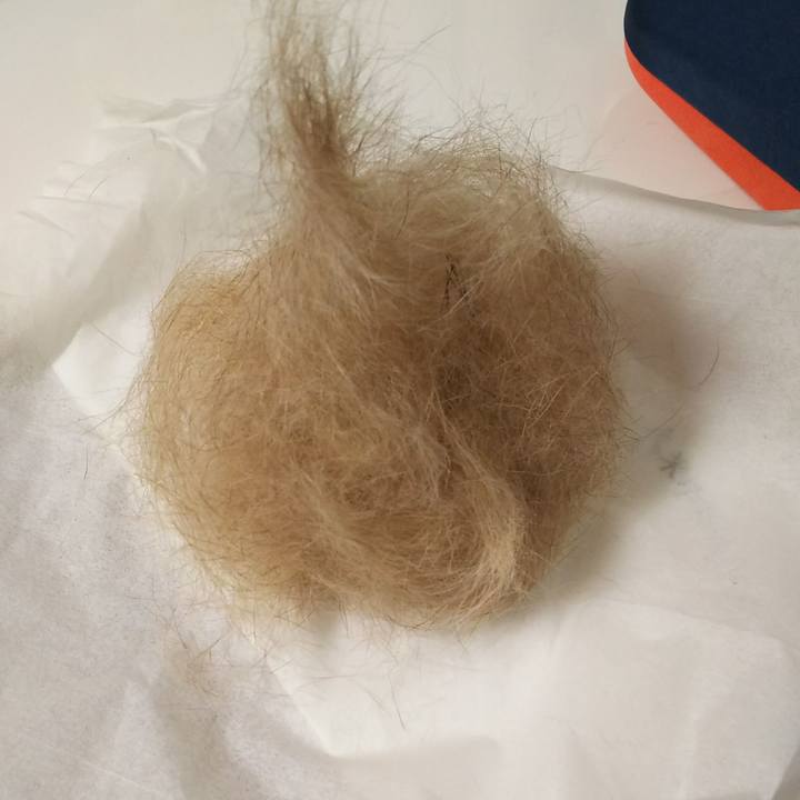 30d684e9 fc81 4298 b265 11cd1dccdfa2 1589724794145