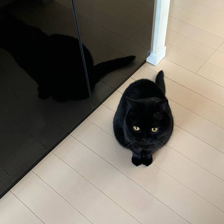 30d6ae1c 4f7b 4acf a0d0 98845da59aac 1742196199591