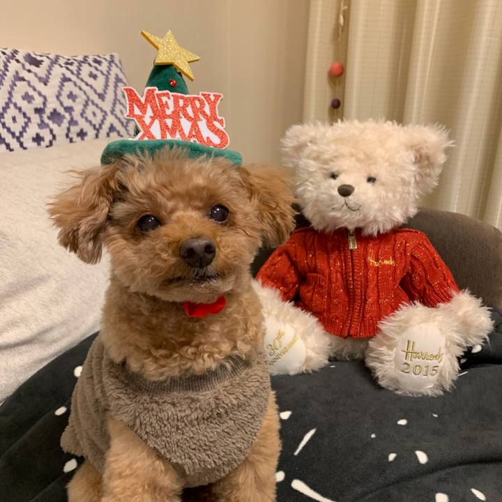 30d6c08a a2bf 49c1 84cc 85413bf180b8 1766629425125