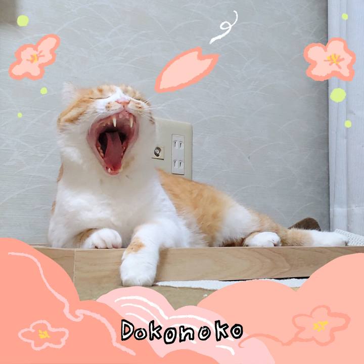 30d6cab8 cccc 4e73 9dca 0d419fbd4a54 1775437710591