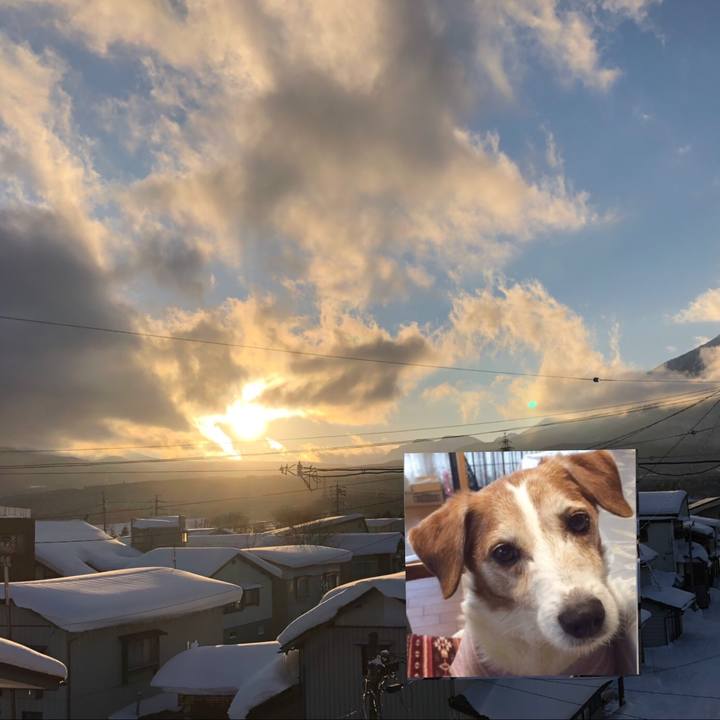 30d6d839 8881 431d 9b65 8893ef67d944 1548587585999