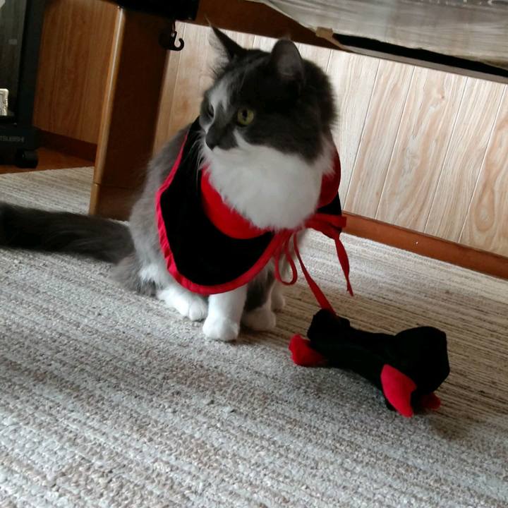 30d6db33 2029 4804 8a69 a9abdc27953b 1601778970454