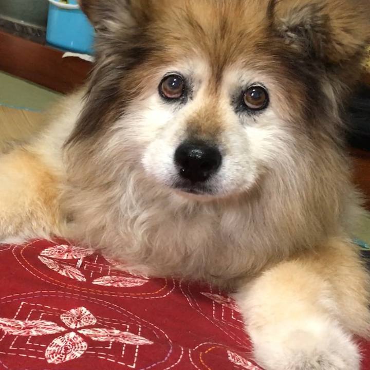 30d6eaeb 7134 496c bc2e a83fbd8d6d24 1590464671153