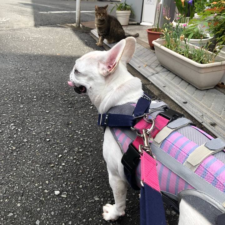 30d70650 71c6 49c2 bb42 df348ff68ae3 1624151665239