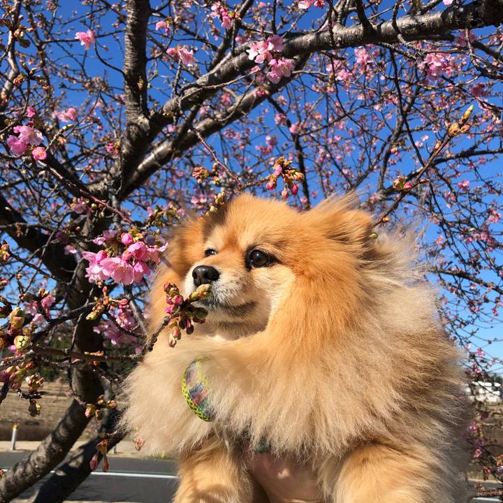 30d72c0e 1604 43ee aa09 cb80a818e17e 1613641421089