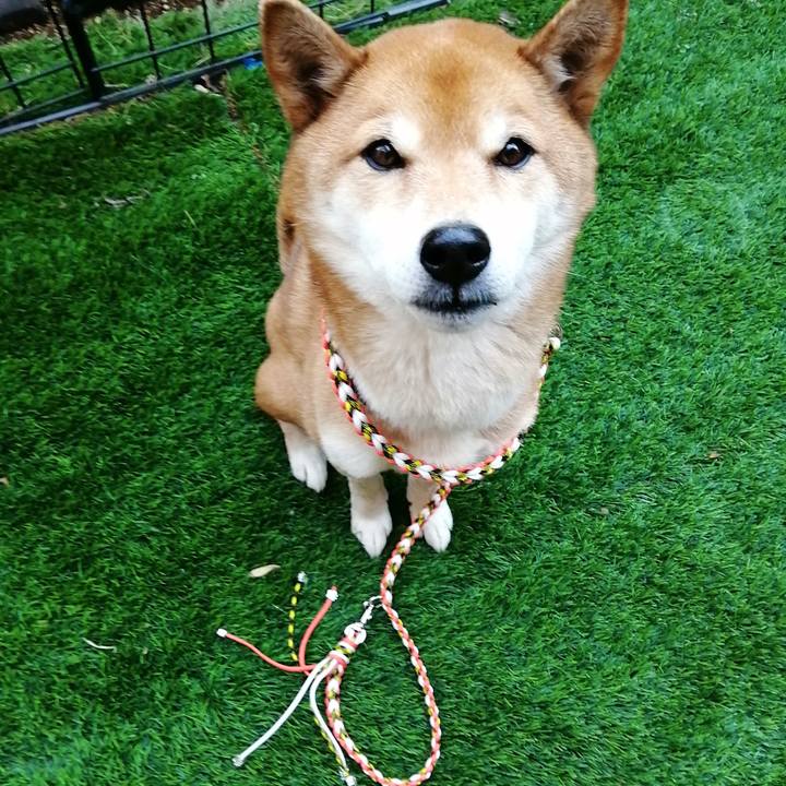 30d72f17 ba0b 40ae 8ca0 440b20ee1dc6 1642158319839