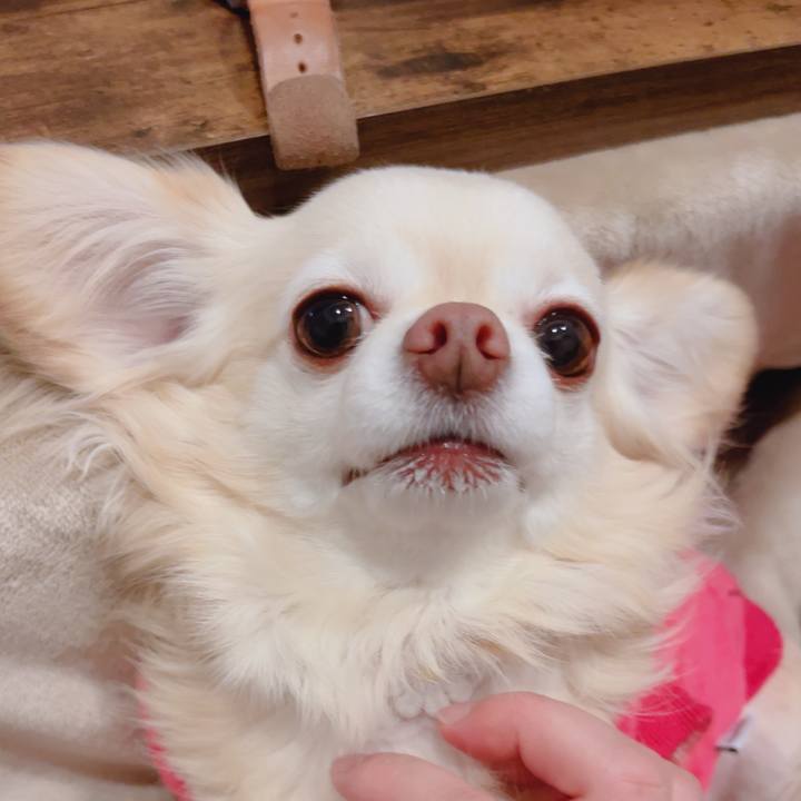 30d75eee d519 45d2 b9a4 144c82508619 1769083342437