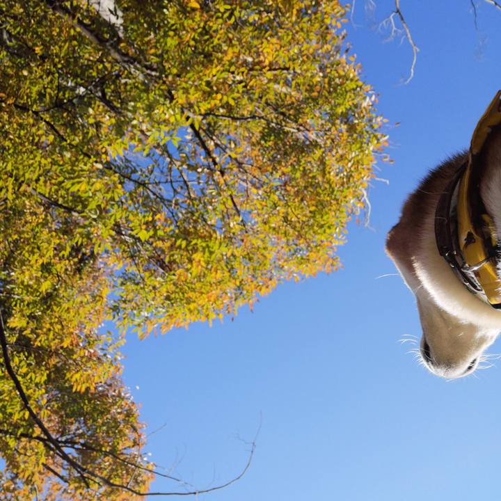 30d7a3ec 5f40 49fc 804b 783b0cbefa61 1636070660655