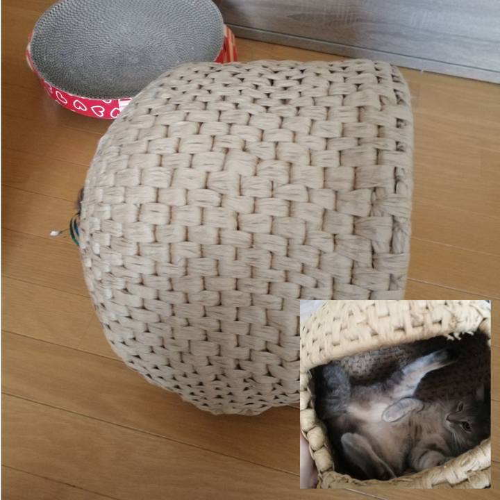 30d7b874 557d 424d 9124 77ad89e104d7 1540959643767