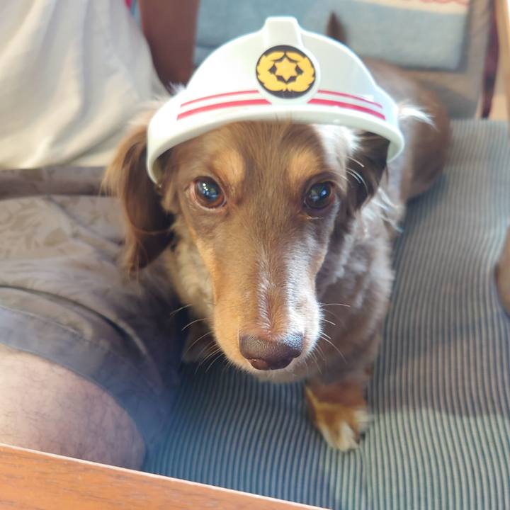 30d7d2ee d76f 4f35 b363 4c05c062db80 1630127272096