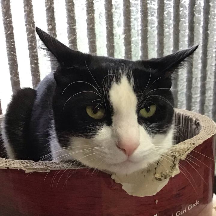 30d7f420 4781 48f7 bac8 72afc2582aba 1745317039682