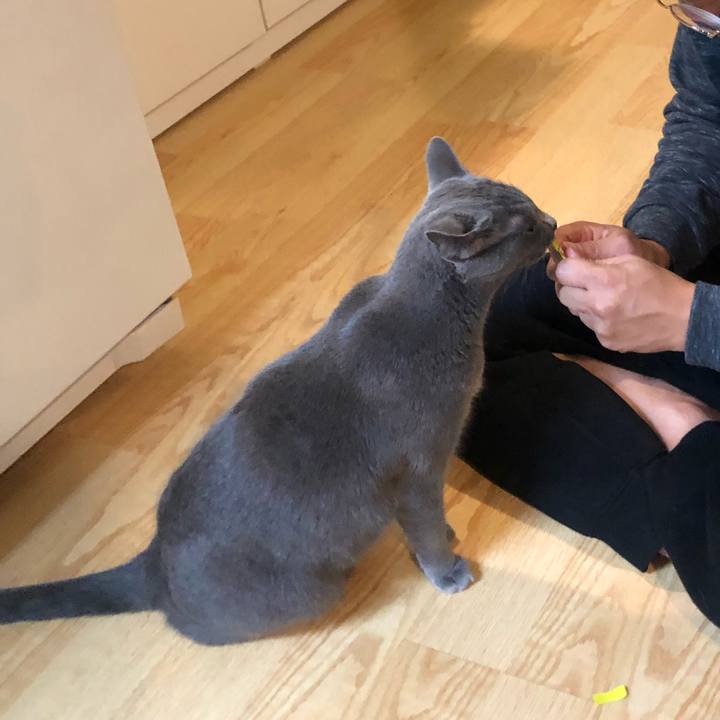 30d7fcf0 e491 4ca3 8088 a57d83c2fe28 1572001748169