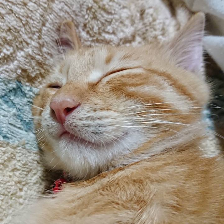 30d88b7a 38b7 4ea8 bb8b 0cf31cab1b58 1633179273489