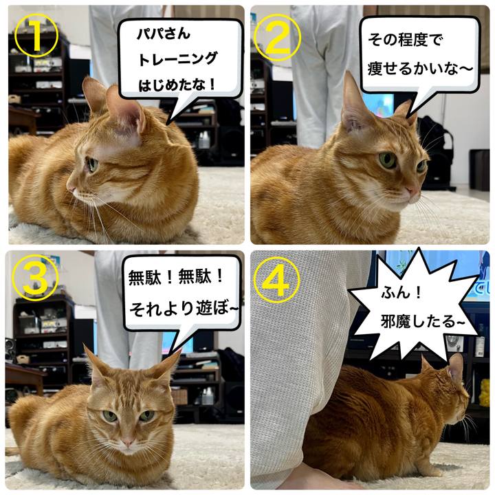 30d920c0 178c 48e3 979d 5c0a3b2610bd 1681378889422