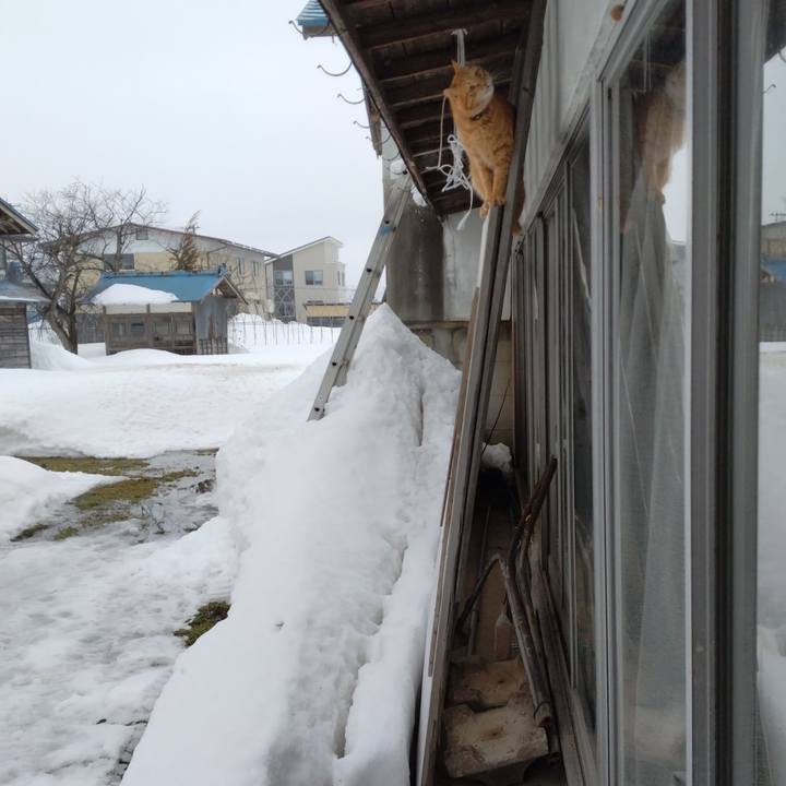 30d92234 bbbd 4a49 8a59 e7abe4b1575f 1676272632370