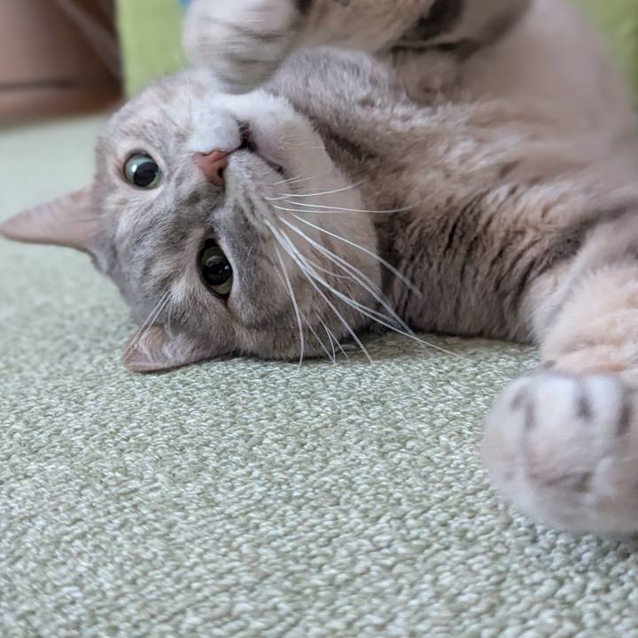 30d94573 f937 4285 86ff bd36acac750b 1763356933698