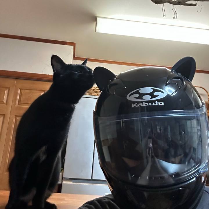 30d97f8a 5903 46f4 b711 9162a63bddfb 1683322163446