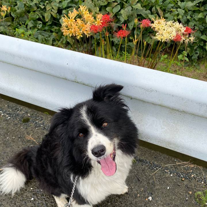 30d983a7 5a3c 4fa7 b79b 85ae81664bc3 1631837709115