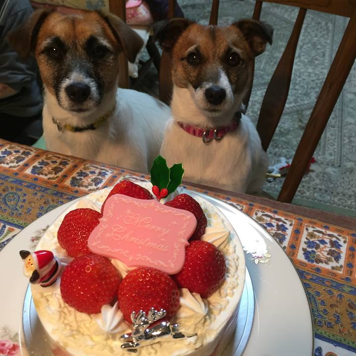 30d9b3e1 6a7d 4bf5 bbfa 237fb86b60b4 1514120176350