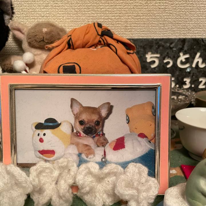 30d9bd46 24d6 46ef b561 0772c1defcce 1692014890190