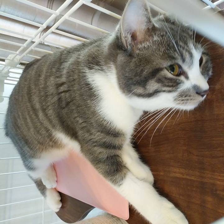 30d9ca5b a20d 4451 8e76 0716ac3c2eec 1576281180231