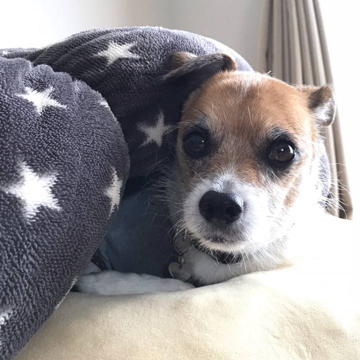 30d9de40 24d9 47d1 be08 981299d9ce7b 1539924626972