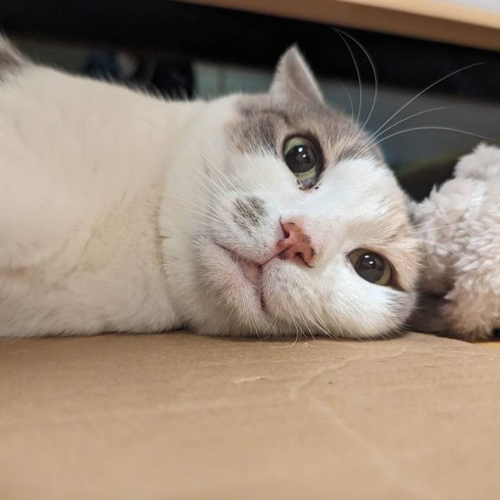 30d9e7a8 cf1d 469e aba6 24aad8f7a076 1702789987484