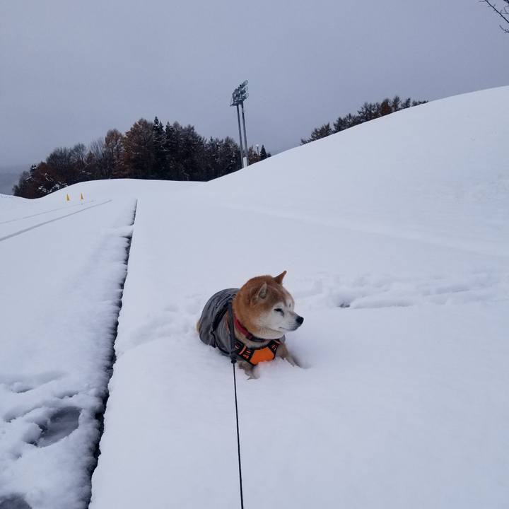 30d9e95a fd8d 42df a423 6eb3f95c2244 1733560500482