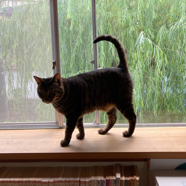 30d9f806 ded5 4977 83d7 69bf049fe71b 1692794121925