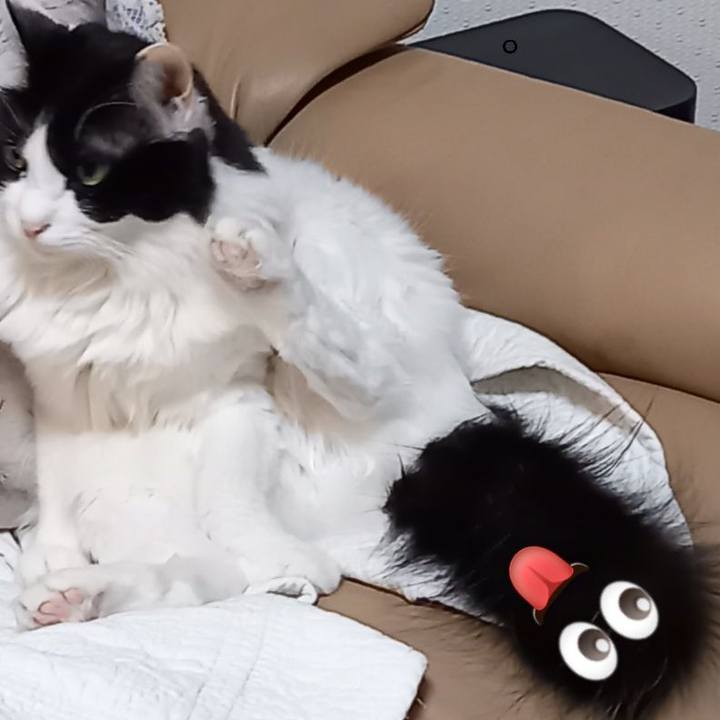 30da2ffa 79e9 4063 8392 ebd523f438f8 1614291889291