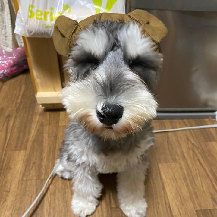 30da54fe 2a87 4f08 8522 a826939e944e 1573137420975