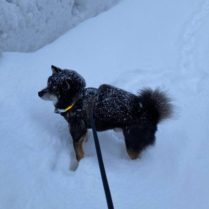 30daa6cd b893 47ee bccc 8ad25c29af41 1673922317732