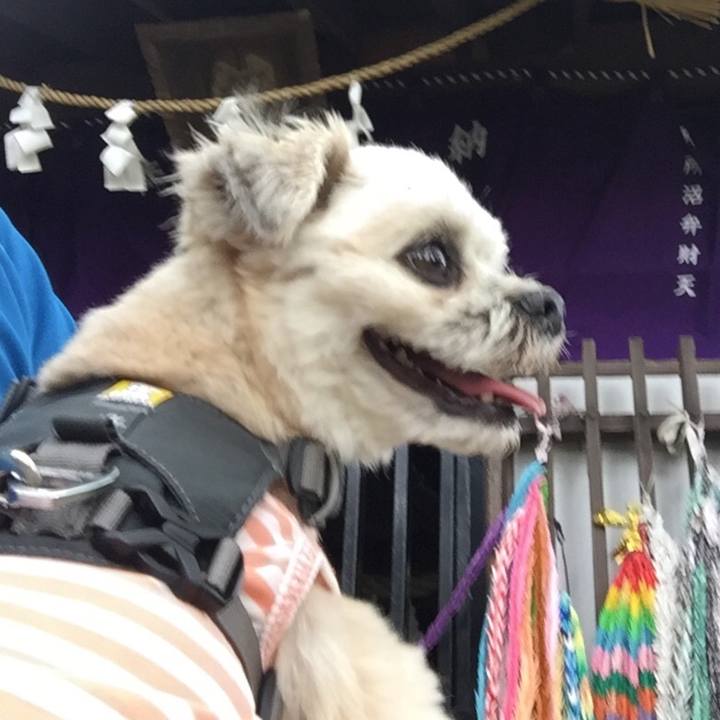 30dad756 2f27 4ec0 aa87 8761cbae4f3f 1565949905472