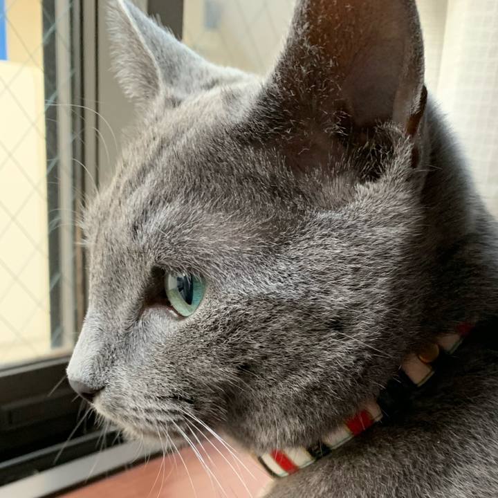 30dae2a4 0fe3 4f5c a79c 39c1e3e5c064 1590611067750