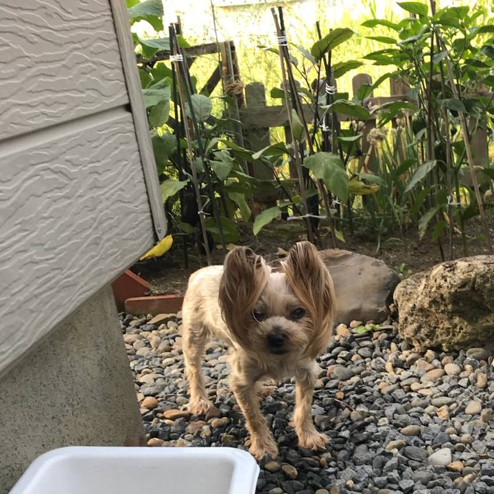 30daf5cc a4b5 4f87 87b1 3ece3c4f2fc4 1626773856326