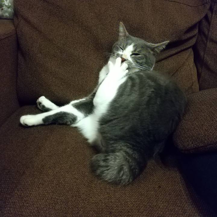 30db0cc7 039d 4c1a 8d6c 75cd5a8fcb3e 1607174053907