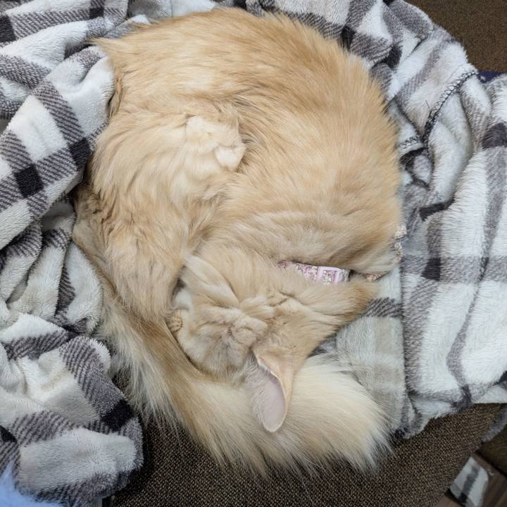 30db8608 29d9 4fb8 8eaa d2b8f3539a12 1766542832155