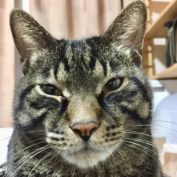 30dba45c 79fd 4019 8b7b e01e0785171a 1604488455992