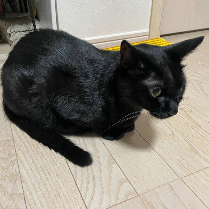 30dbcff4 f838 4e1a a561 d847492d54d2 1728128656704