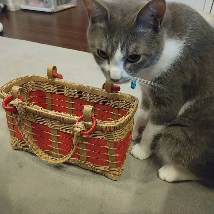 30dc09cb d456 4c19 90e7 4472ca2e6bce 1622109279982