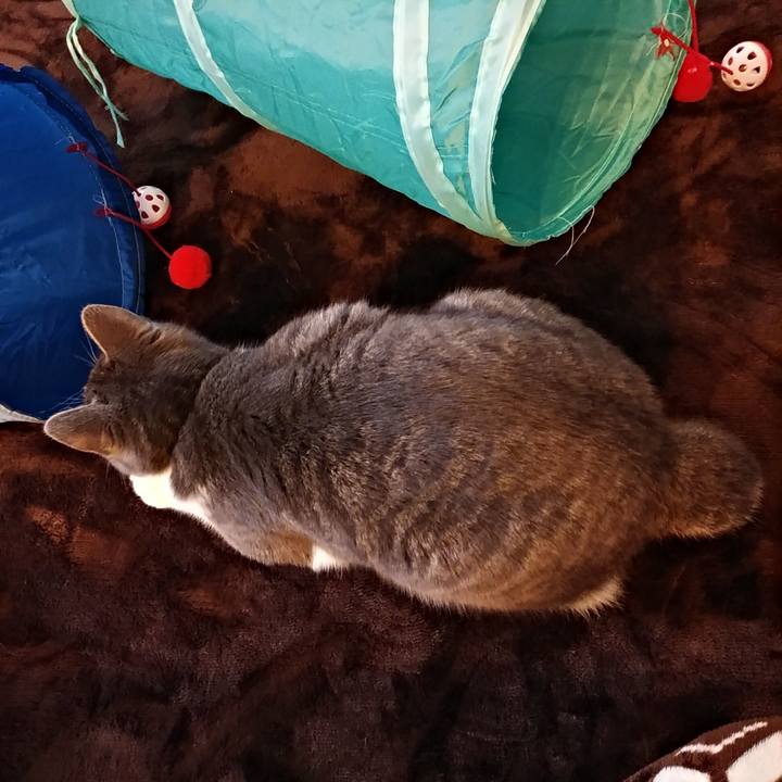 30dc0db4 99db 455b a077 236633ab328b 1577231402373