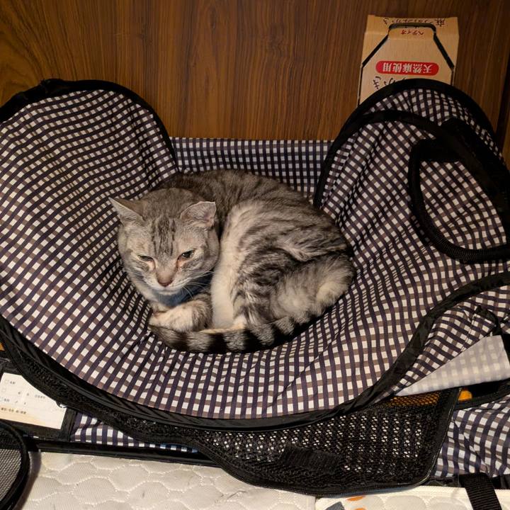 30dc0fe7 70b5 4097 bc99 2e0d091e7e8b 1764437588617