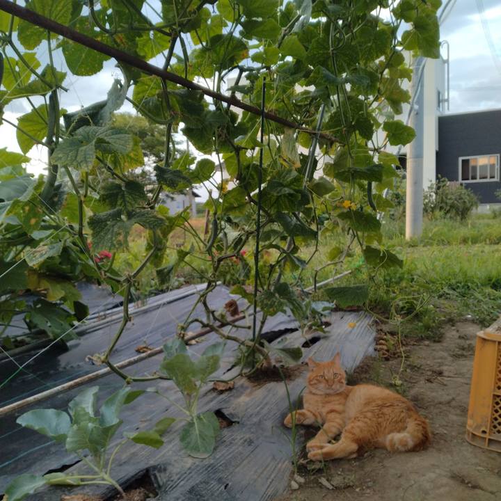 30dc57a4 1587 40d1 b5a3 36c7c3bd3721 1692143383775