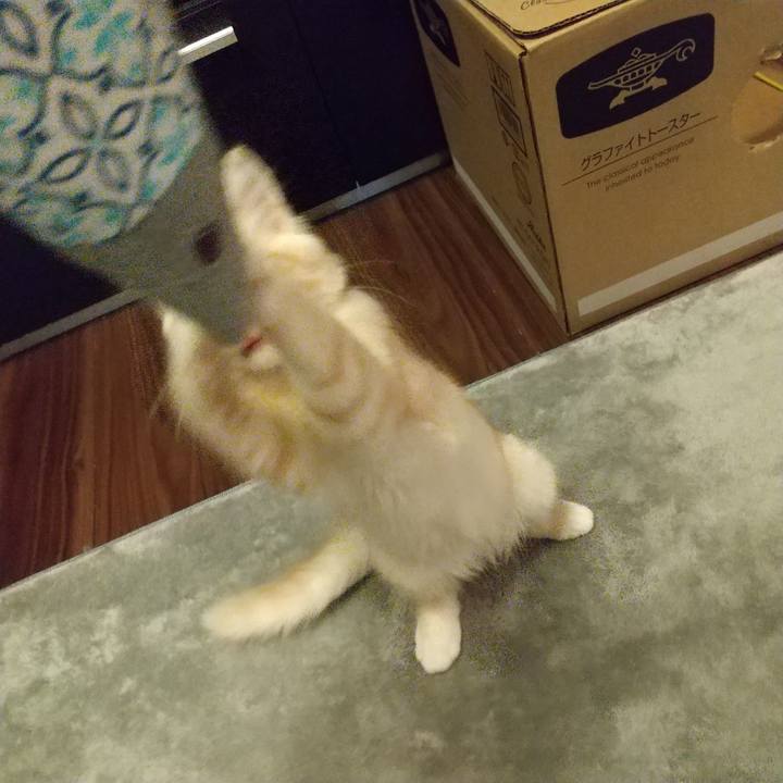 30dc78a3 9a82 4d02 844c be3cf50a3d33 1606427171900