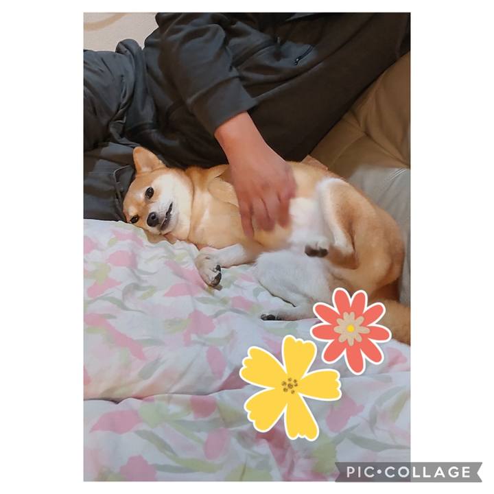 30dc86ab de20 49f3 84fa 936a46e55481 1700995093324