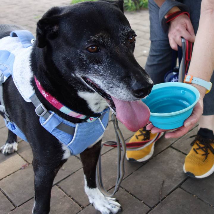 30dc8e73 fbfa 4e85 bfd3 79aabb29284a 1751500667923