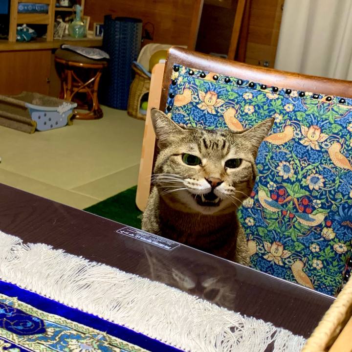 30dc984b 24d6 4e6e b5fb cf767f9f091c 1636627842578