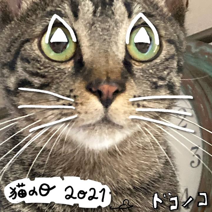 30dca6c2 f773 451a ae1a 29f4a5d81a36 1613997597308